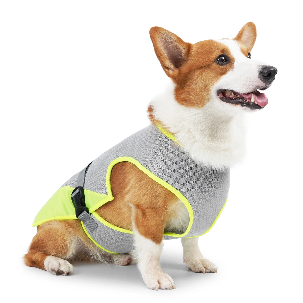 Colete de Resfriamento para Cães – Leve e Respirável