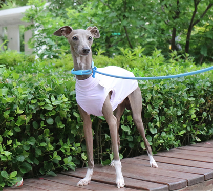 Colete Refrescante p/ Cães - Respirável, Anatômico e com proteção UV