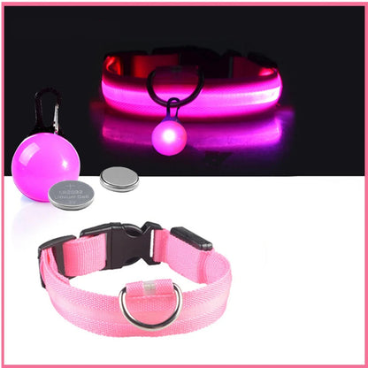 Coleira Brilhante USB para Pets Pequenos – Alta Visibilidade