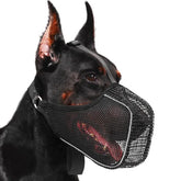 Focinho Respirável Ajustável para Cachorro | Antimordida Verão