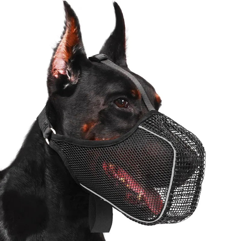 Focinho Respirável Ajustável para Cachorro | Antimordida Verão