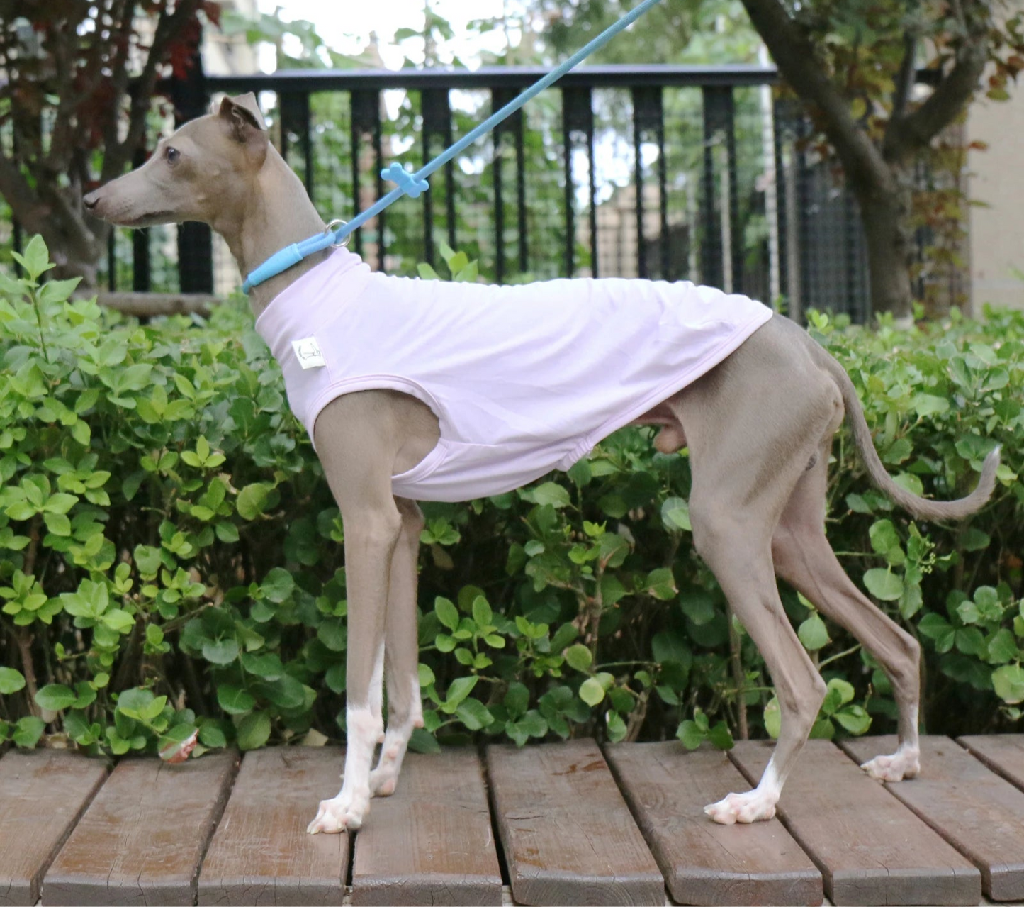 Colete Refrescante p/ Cães - Respirável, Anatômico e com proteção UV