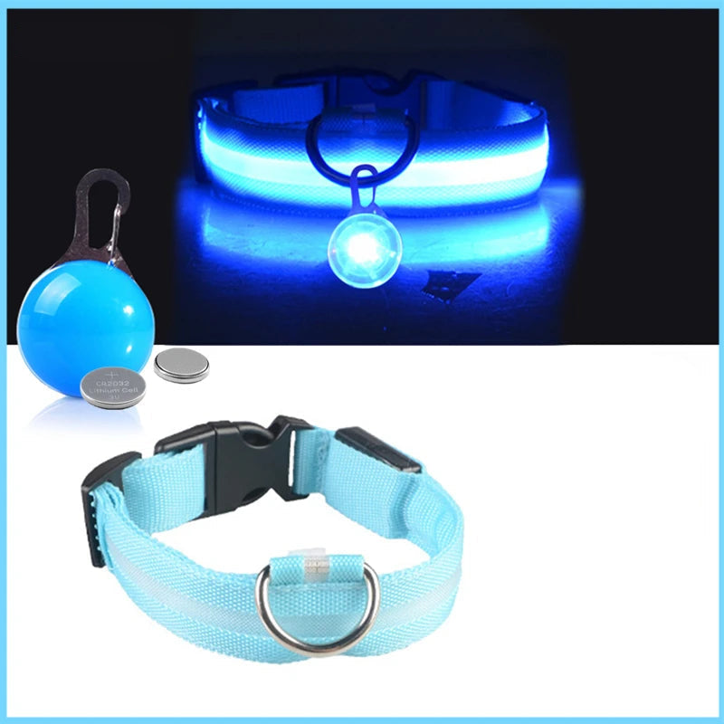 Coleira Brilhante USB para Pets Pequenos – Alta Visibilidade