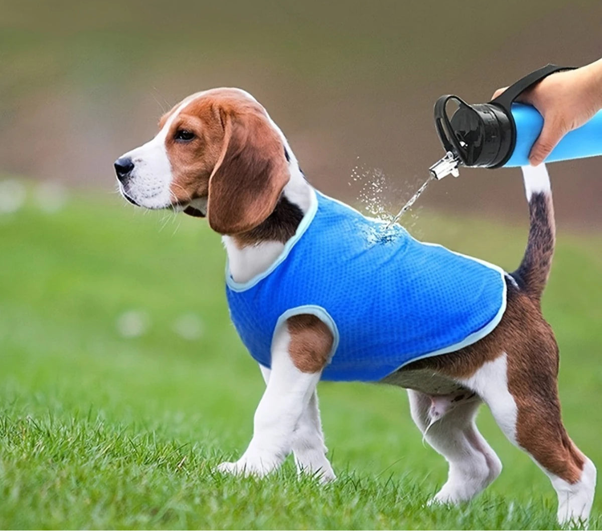 Colete de Resfriamento p/ Cães – Proteção UV