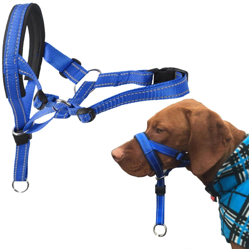Focinheira para Cães Antipuxão – Treinamento e Segurança