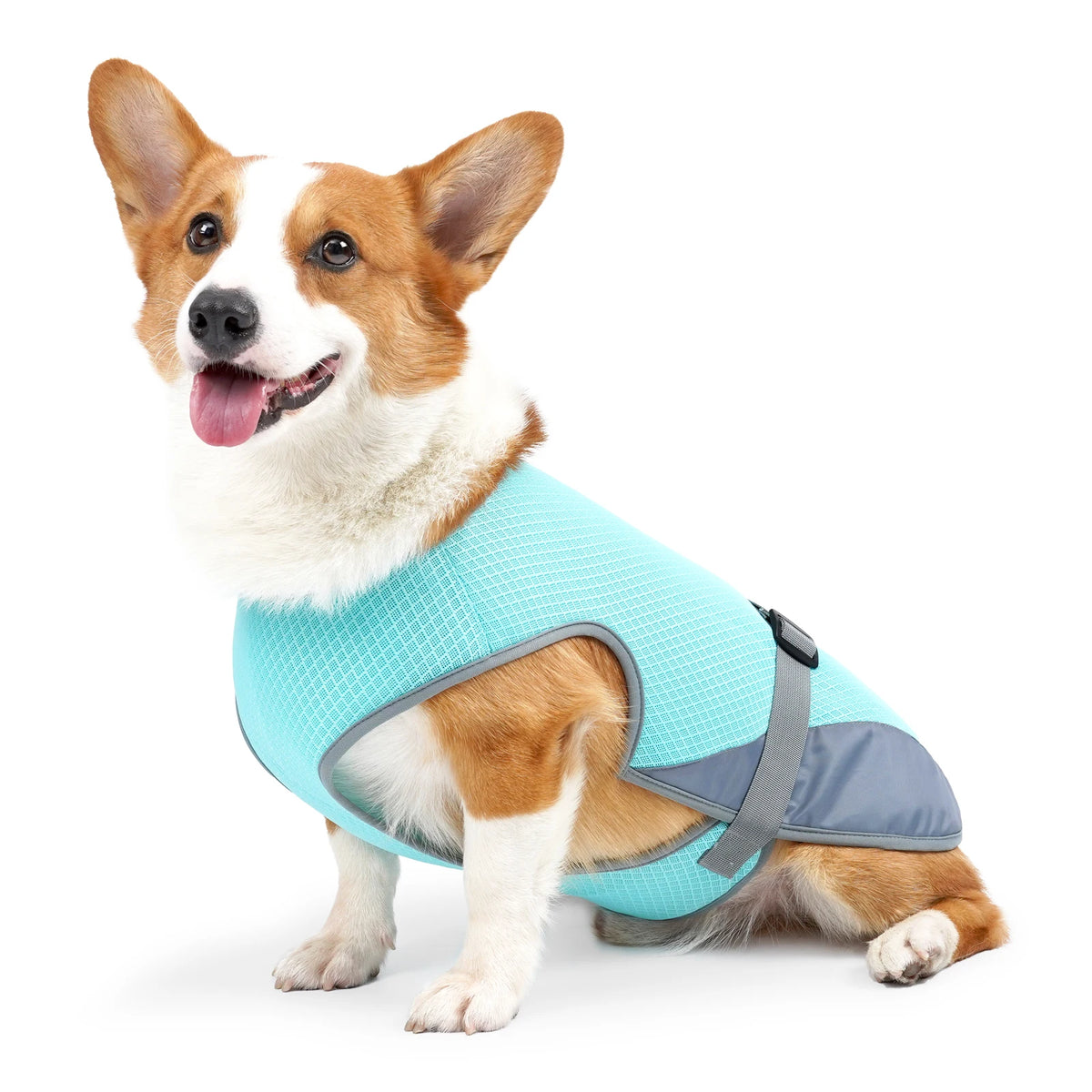 Colete de Resfriamento para Cães – Leve e Respirável