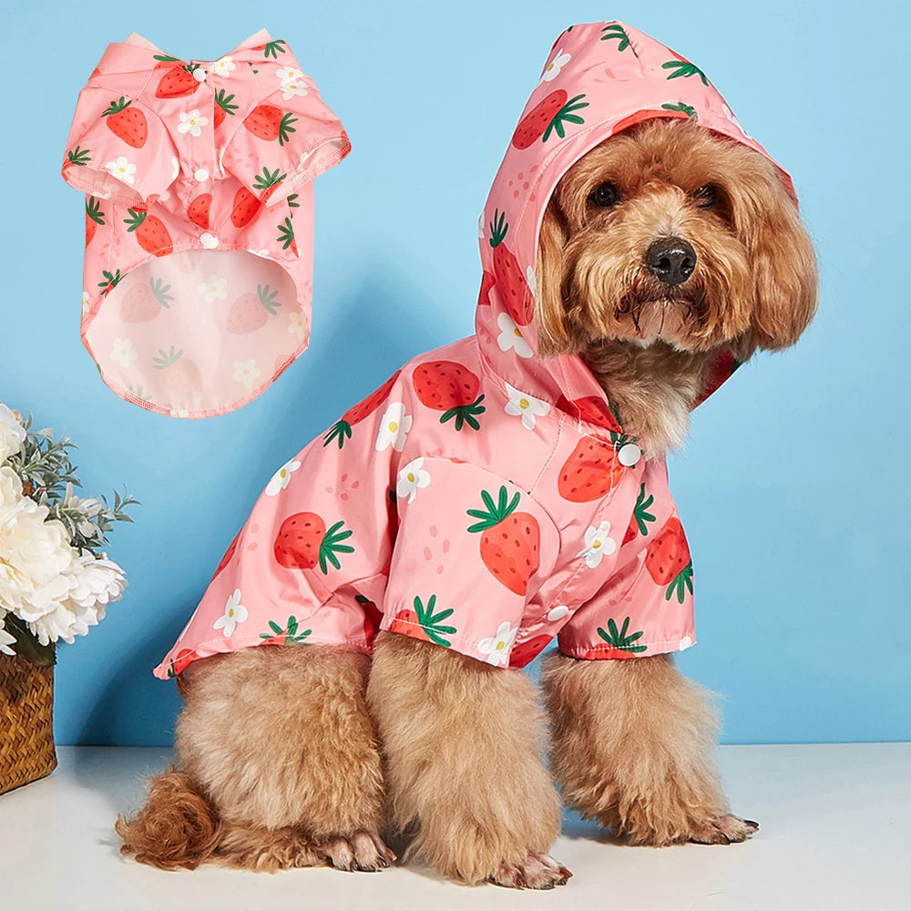 Roupa Impermeável Térmica para Cachorros | Moranguinho Conforto e Mobilidade