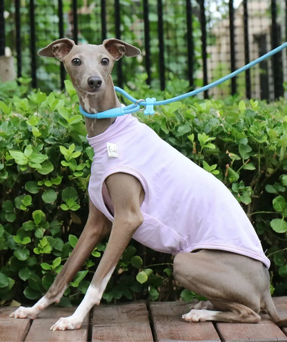 Colete Refrescante p/ Cães - Respirável, Anatômico e com proteção UV