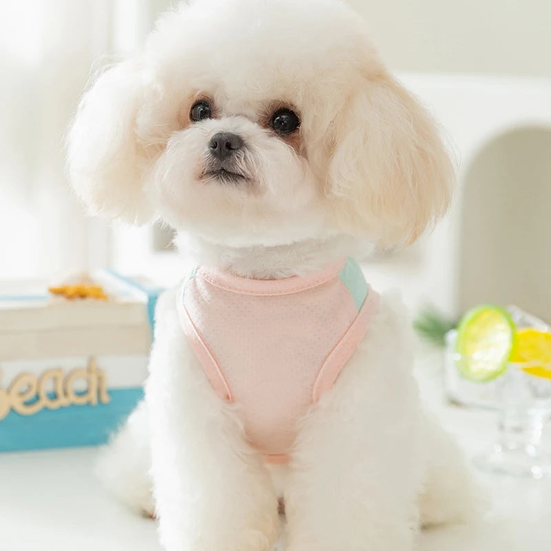 Colete Refrescante para Cães | Leve, Fresco e Estiloso