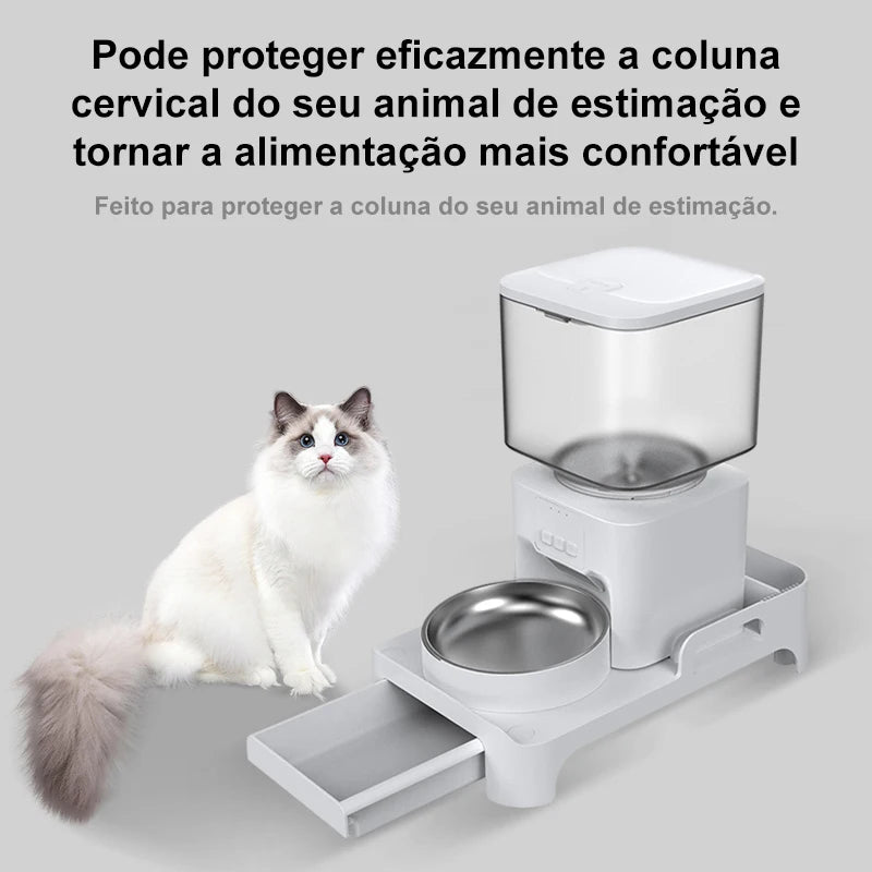 Alimentador Automático Pet Newpet com Suporte Elevado