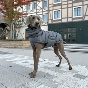 Casaco Pet de Inverno | Quentinho, Estiloso e Impermeável