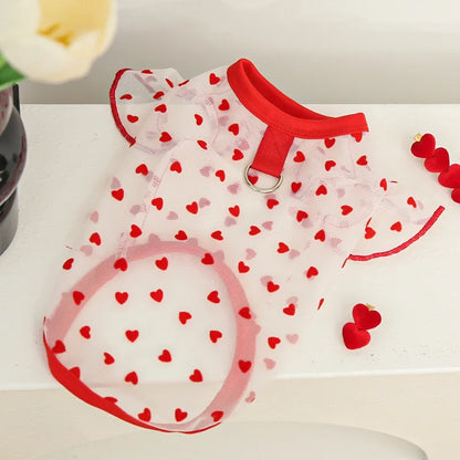 Colete Refrescante para Cães | Leve, Fresco e Estiloso