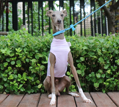 Colete Refrescante p/ Cães - Respirável, Anatômico e com proteção UV