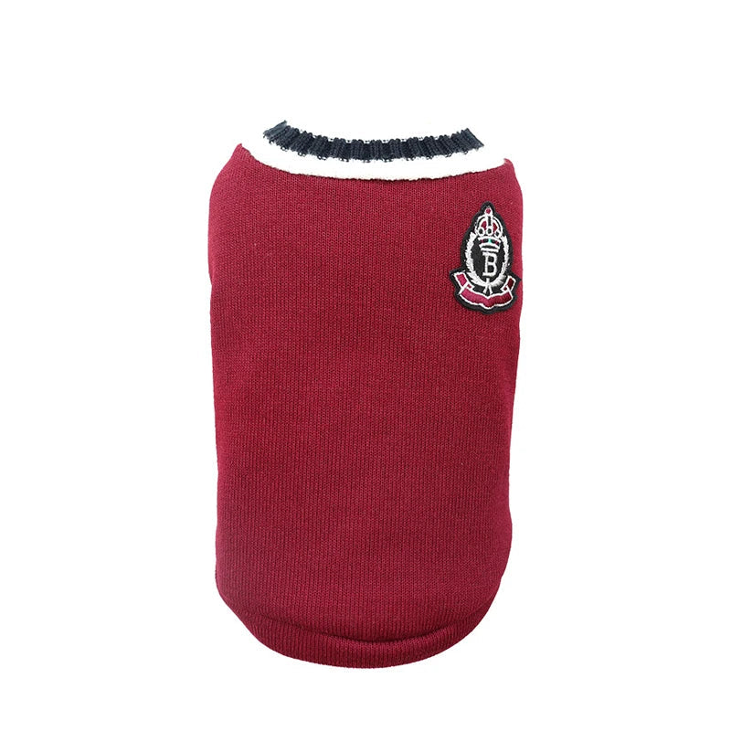 Suéter Pet Estilo Universitário | Quentinho e Charmoso