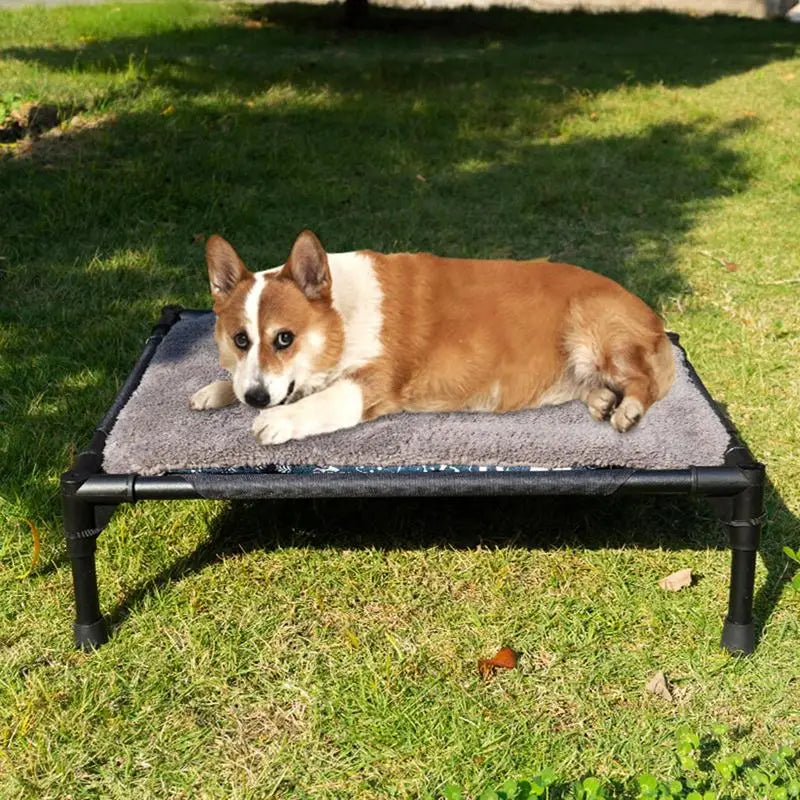 Cama Elevada para Cachorro com Dossel Removível – Conforto e Proteção
