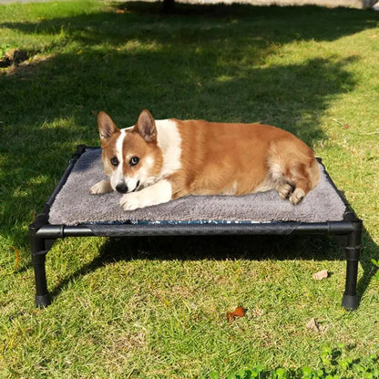 Cama Elevada para Cachorro com Dossel Removível – Conforto e Proteção