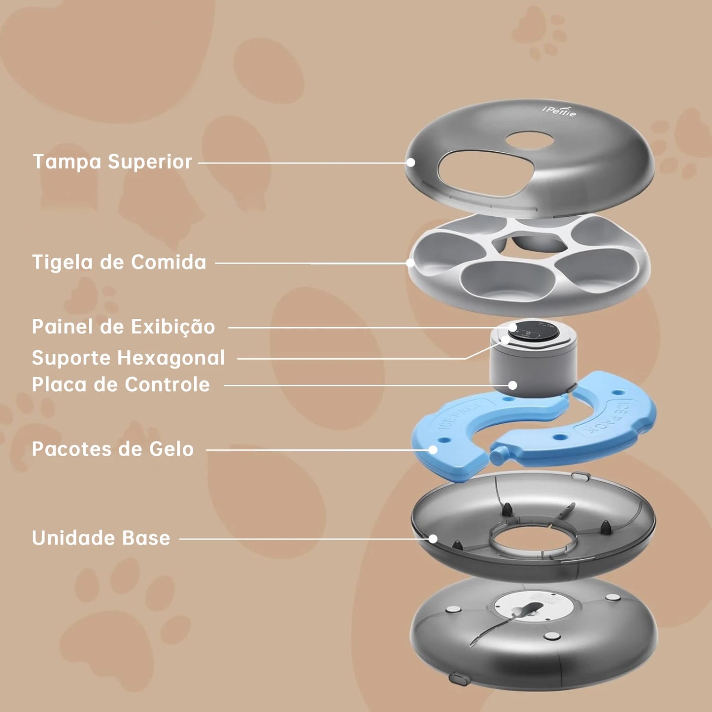 Alimentador Automático 6 Refeições com Timer e Controle