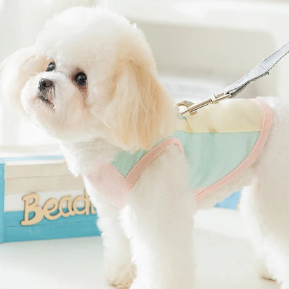 Colete Refrescante para Cães | Leve, Fresco e Estiloso