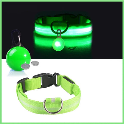 Coleira Brilhante USB para Pets Pequenos – Alta Visibilidade