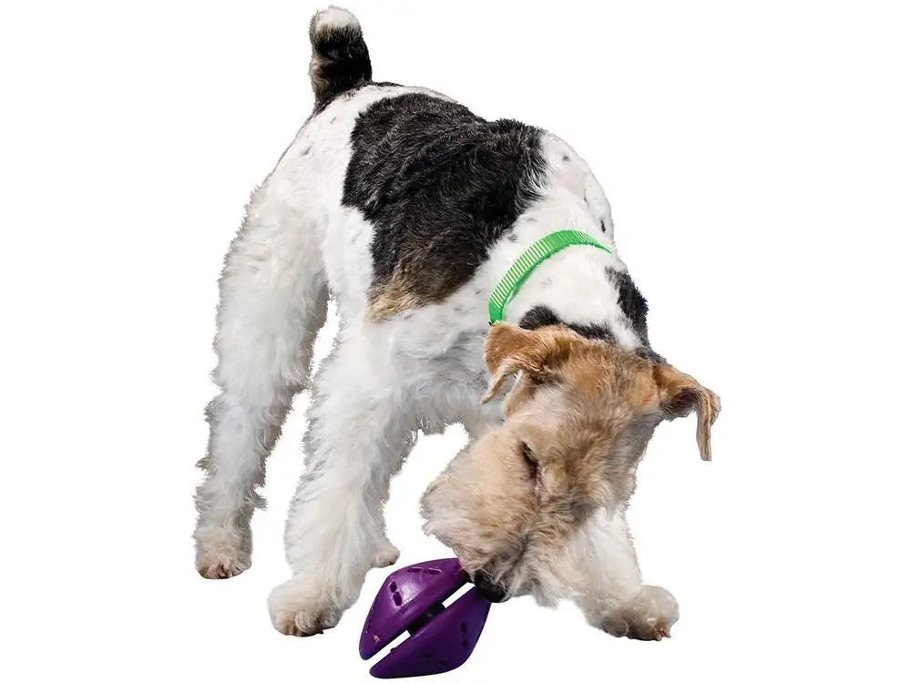 Brinquedo Borracha para Cachorro – Saúde Bucal