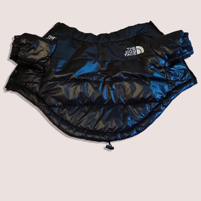 Roupas de Inverno para Cachorro: Conforto e Proteção Térmica | The Dog Face