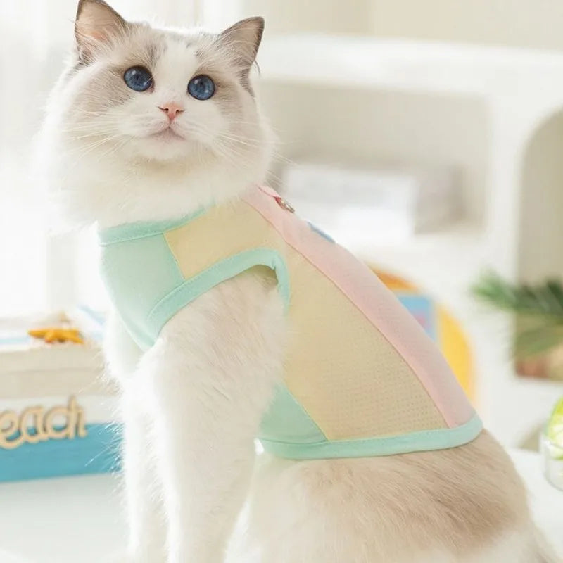 Colete Refrescante para Cães | Leve, Fresco e Estiloso