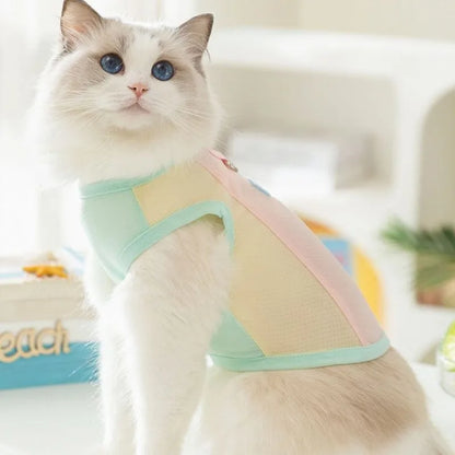 Colete Refrescante para Cães | Leve, Fresco e Estiloso