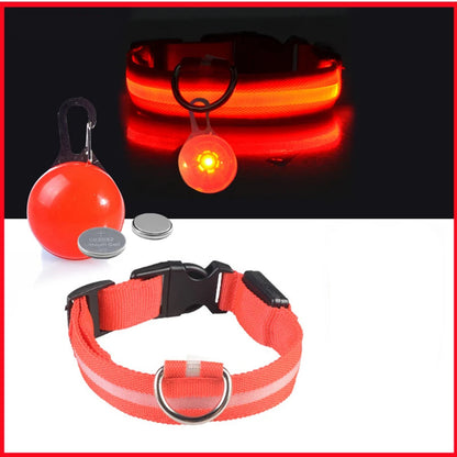 Coleira Brilhante USB para Pets Pequenos – Alta Visibilidade