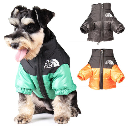 Roupas de Inverno para Cachorro: Conforto e Proteção Térmica | The Dog Face