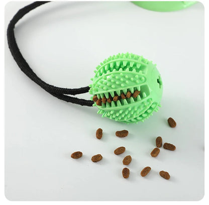 Brinquedo Interativo com Ventosa e Som para Cães