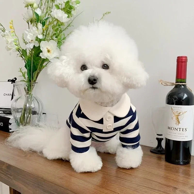 Camisa Refrescante com UV p/ Cães | Antipulgas e Estilo