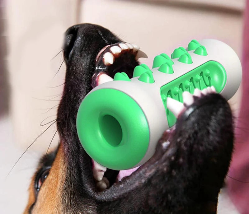 Escova Brinquedo Mordedor para Cães | Saúde e Diversão